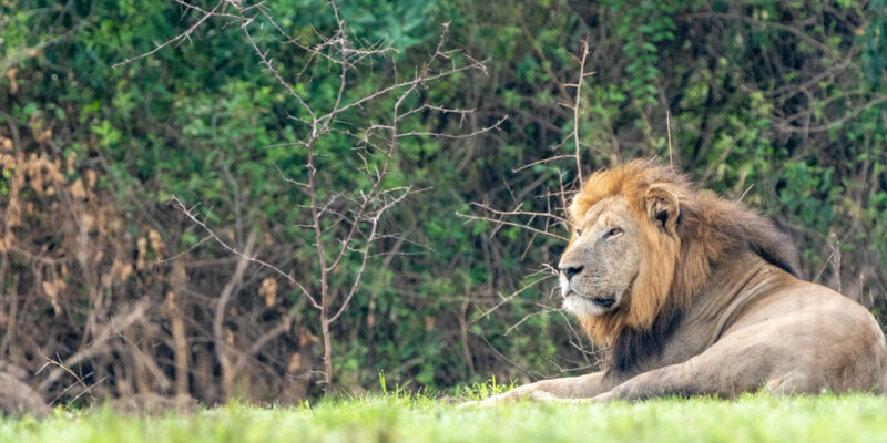 52919764756_8378970dee_b