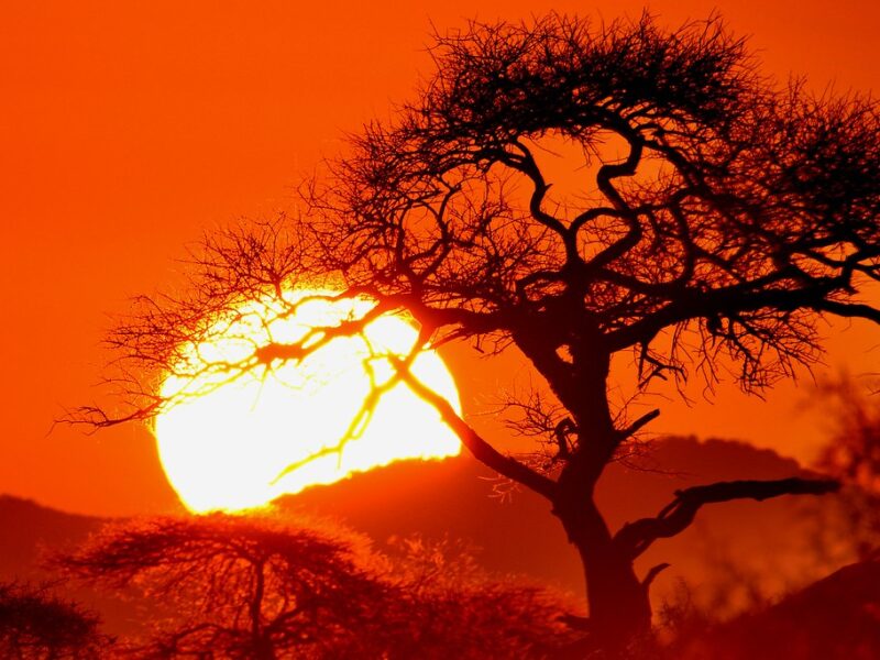 Amboseli National Park2