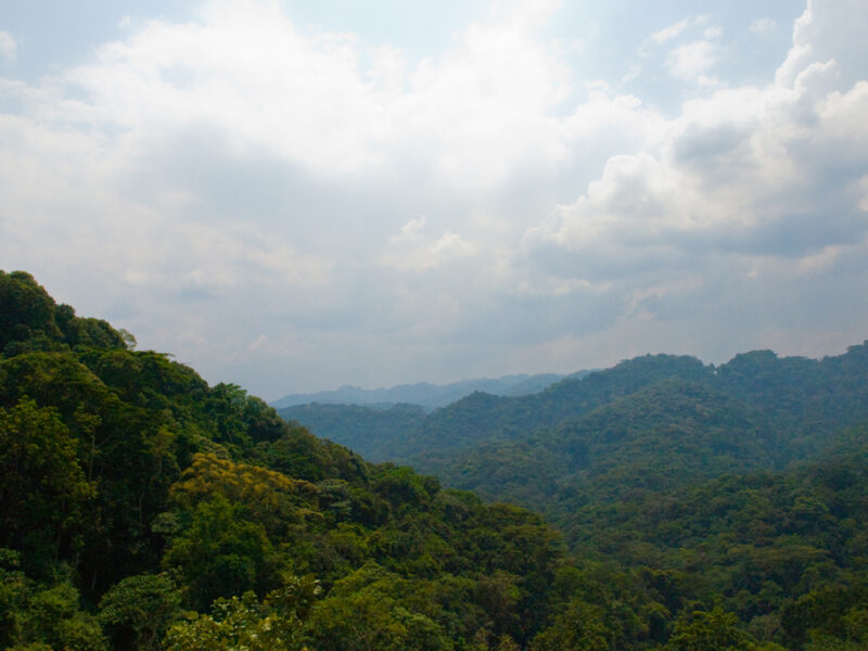 Bwindi Impenetrable National Park