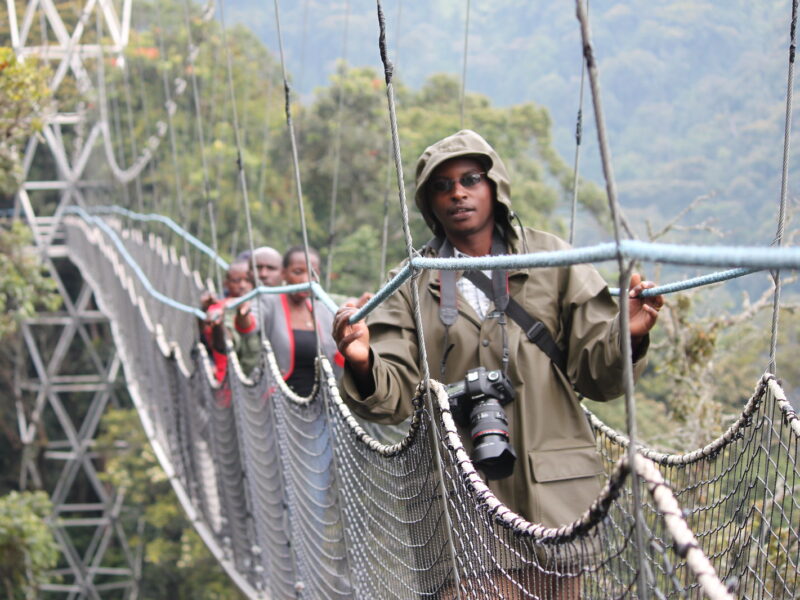 Canopy Walk in Nyungwe