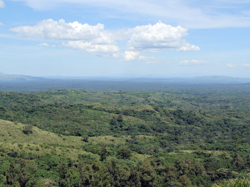 Kibale Forest National Park