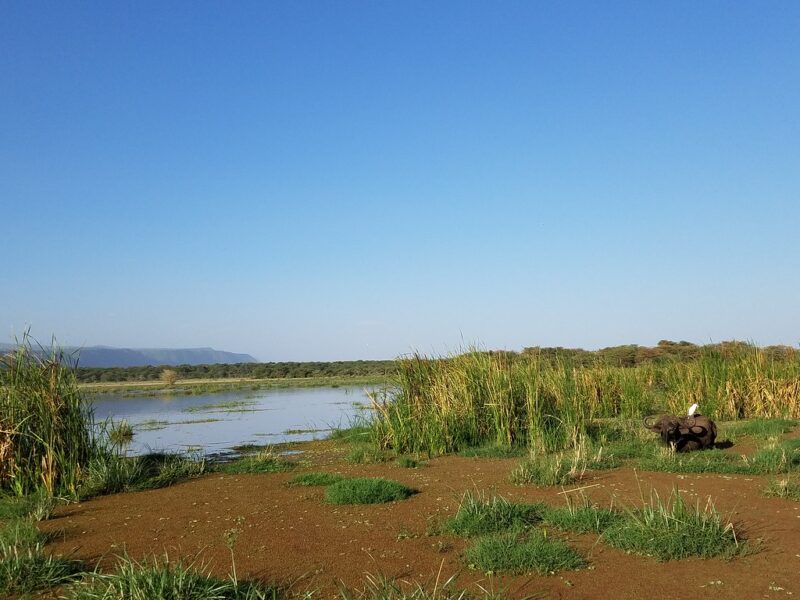 Lake Manyara National Park44