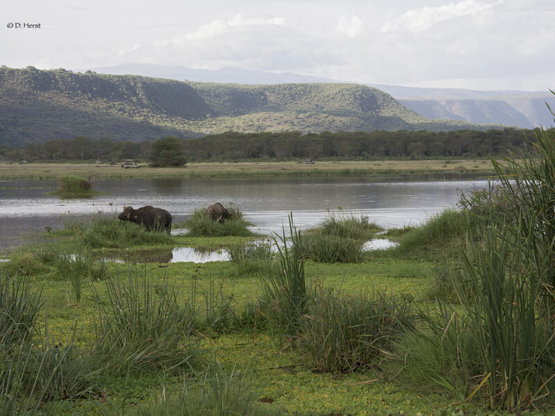 Lake Manyara waters_files