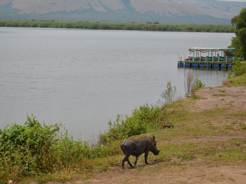 Lake Mburo National Park2