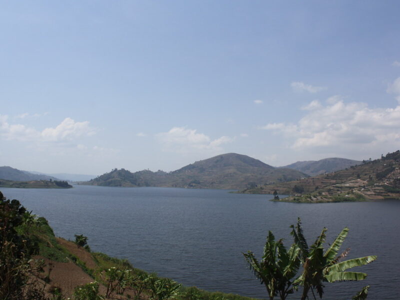 bunyonyi