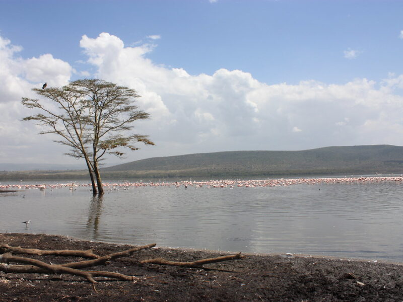 lake nakuru