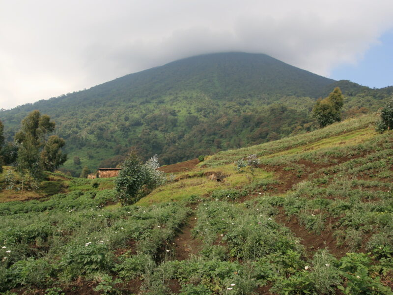 volcanoes national park rwanda