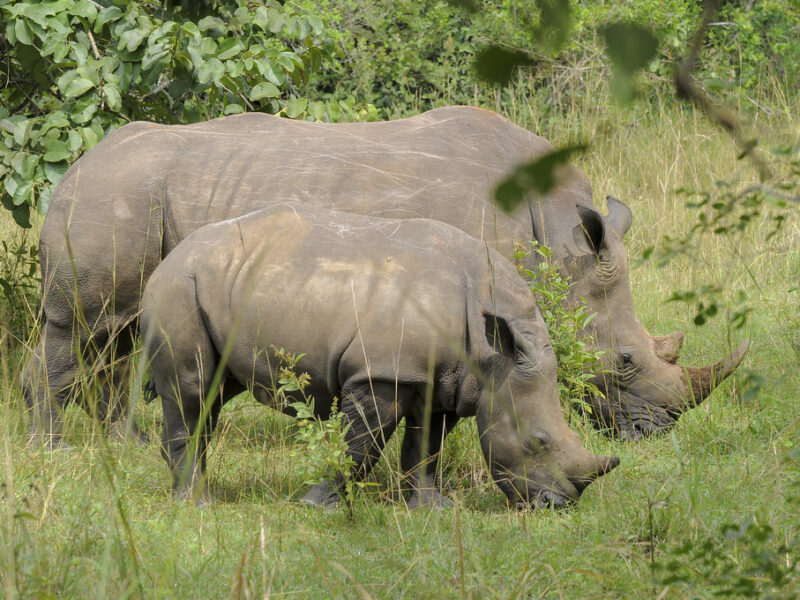 Copyright 2008 Miguel Marti